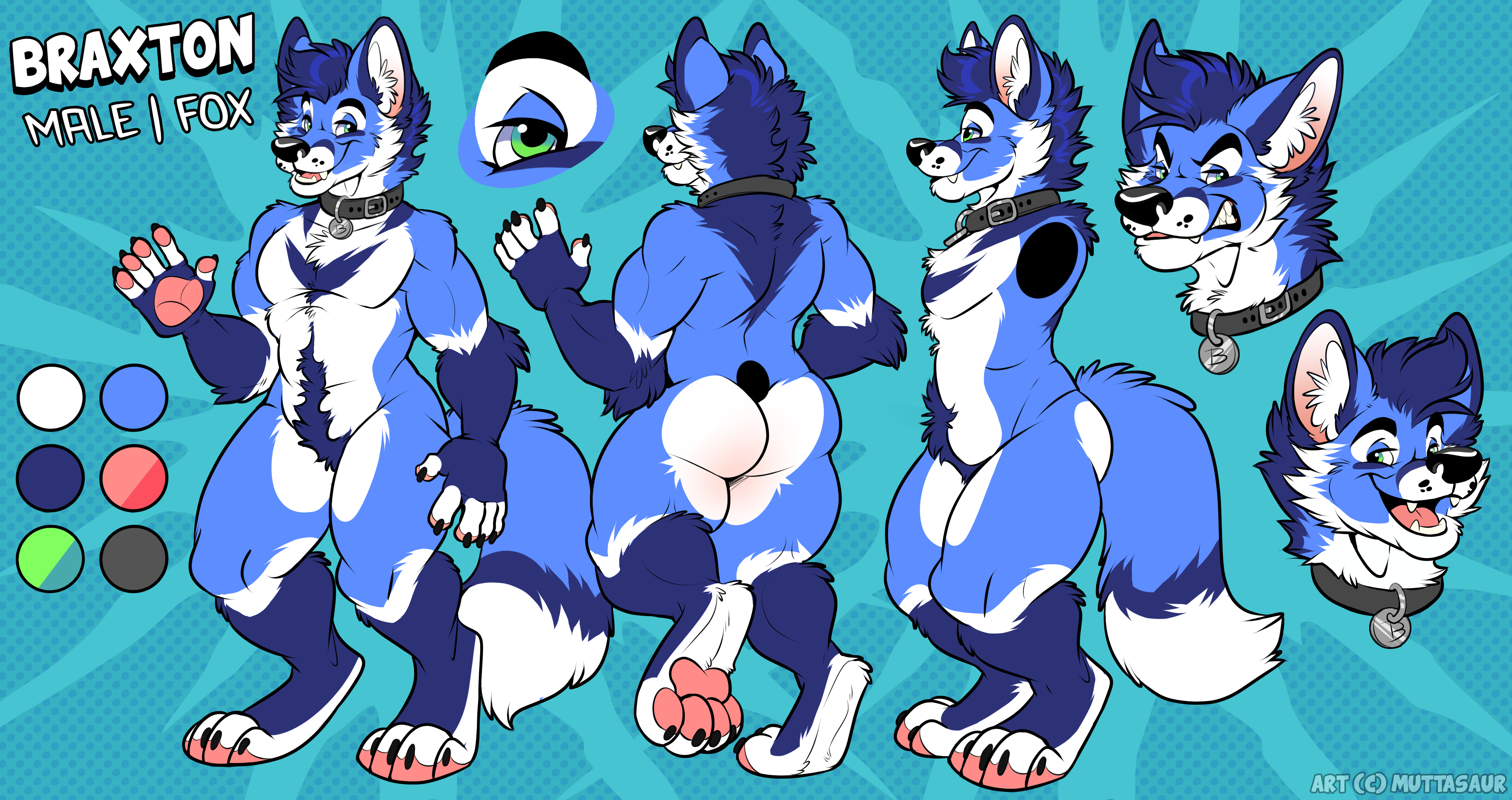 Braxton's Reference Sheet